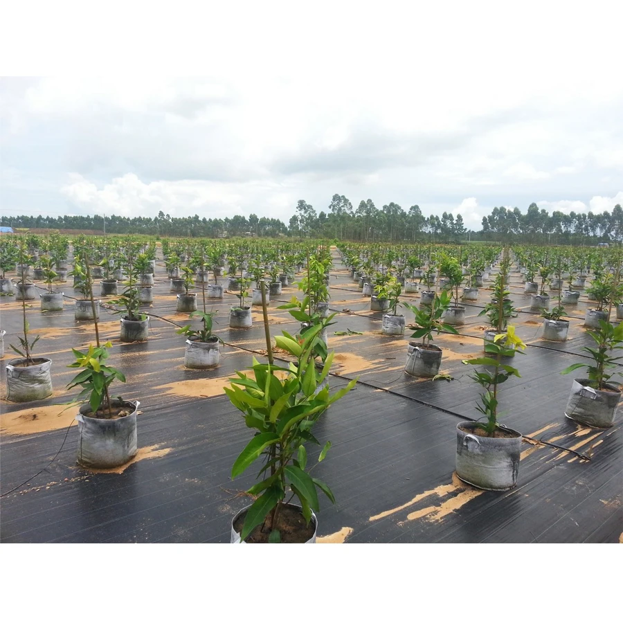 Factory Sale PP PE Ground Cover/Weed Control Mat/Weeding Cloth fabric