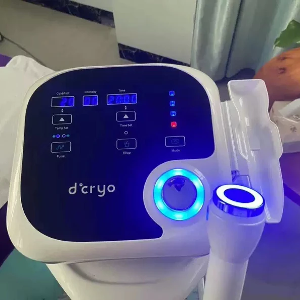Dcryo no-needle mesotherapy lectroporation beauty equipment wrinkle remover skin tightening microcurrent face lift f