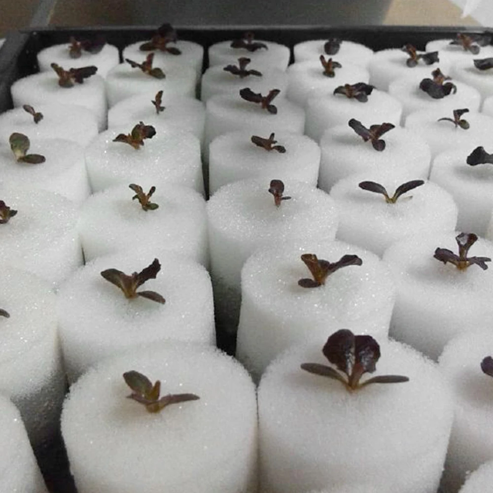 Best Price Vegetable 32X30MM Round Hydroponics Seed Sponge For Sale