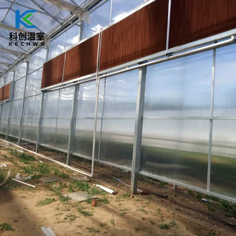 High Quality Low Price Film Energy Saving Solar Greenhouse