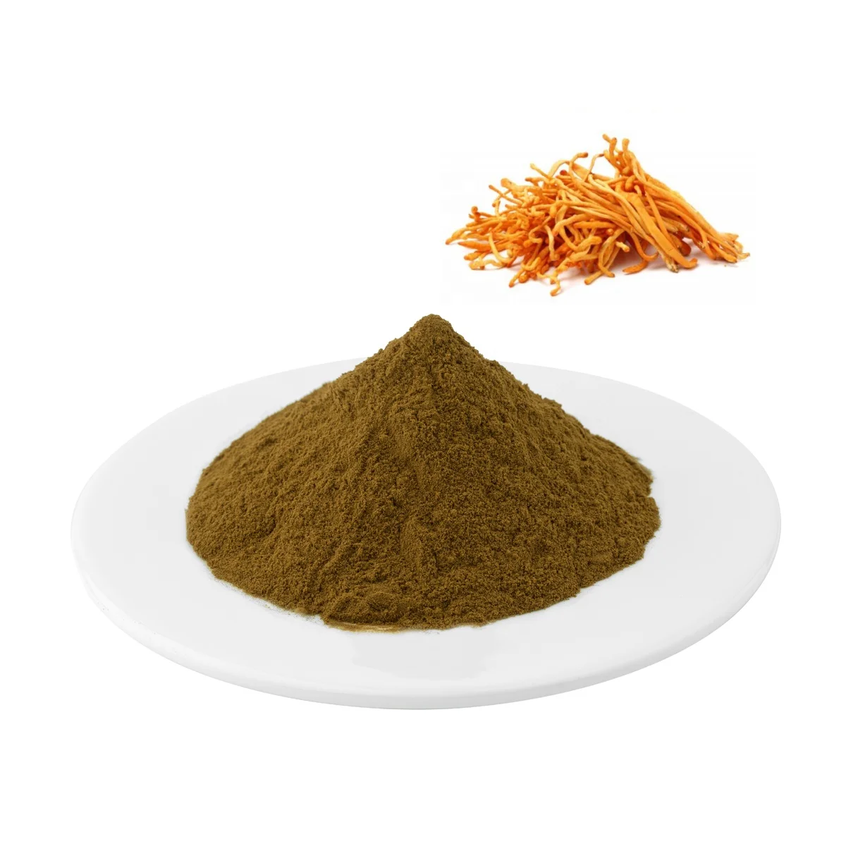 Cordyceps Militaris Extract Organic Simply Diet Supplements Powder Sample Available