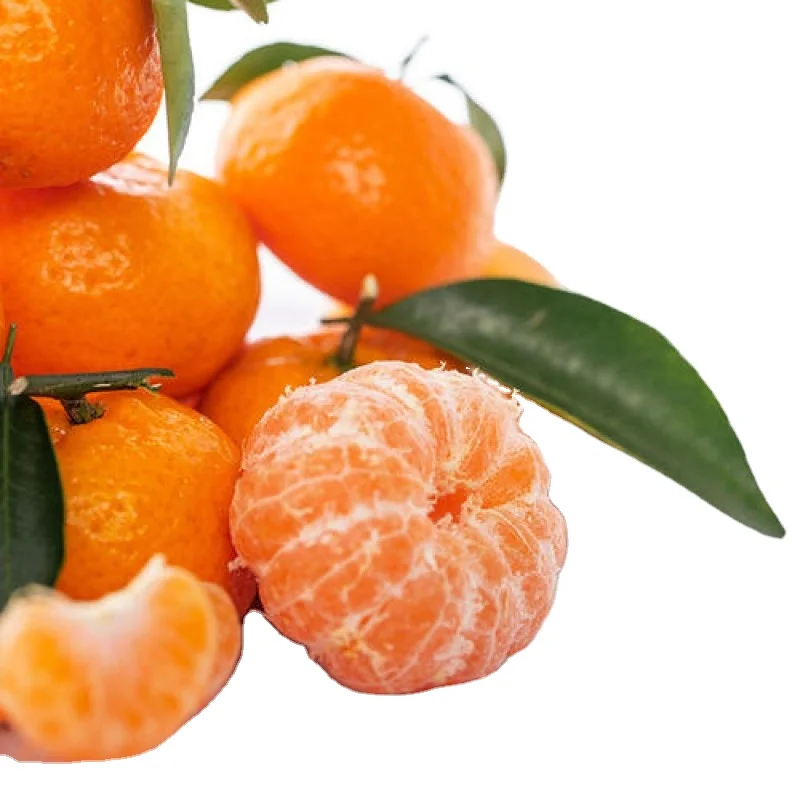 Оптовая продажа, высококачественный сладкий и сочный свежий Мандариновый оранжевый