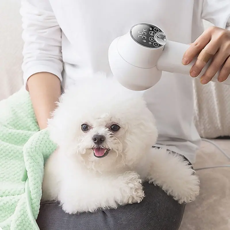 300W small animal cat accessories motor hand held plastic grooming pet hair dryer