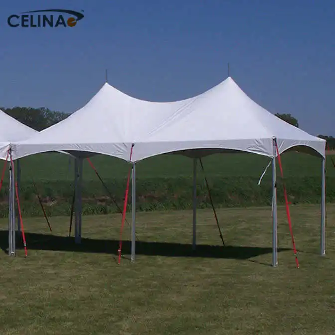 Celina 10X20  comercial party luxury high quality heavy duty canopy tent