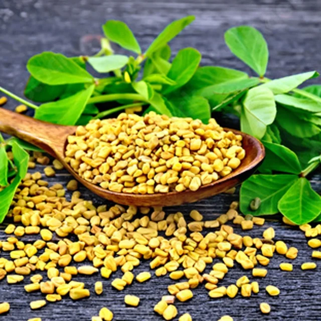 Methi Seeds ( Fenugreek ) 99.99 % Purity