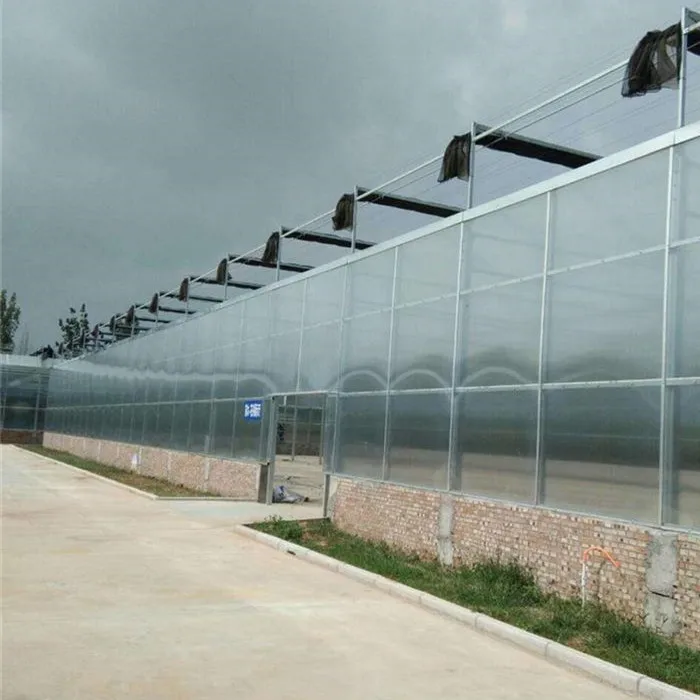 Pepper/Tomato/Cucmber/Cauliflower/Strawberry/Lettuce Cultivation Green House Covered By Polycarbonate Sheet for Sale