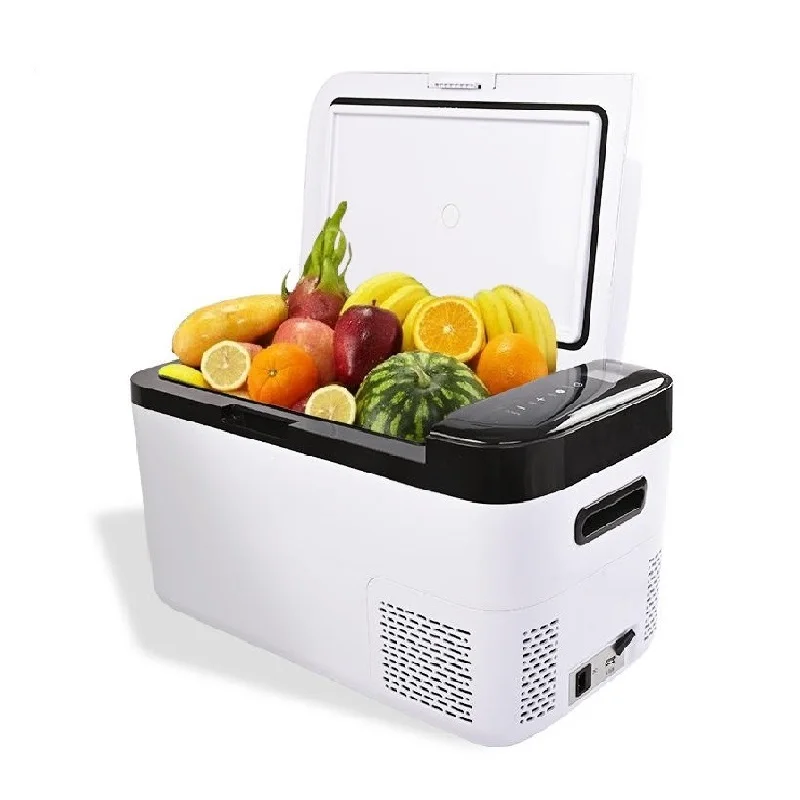 Factory Offer Reasonable Price App Control Mini Fridges 25L mini portable car refrigerator