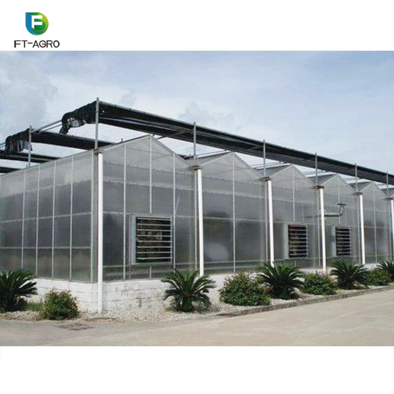 
China Manufactured Agriculture Hydroponic Growing Systems Eco Friendly Waterproof PC Sheet Greenhouse 