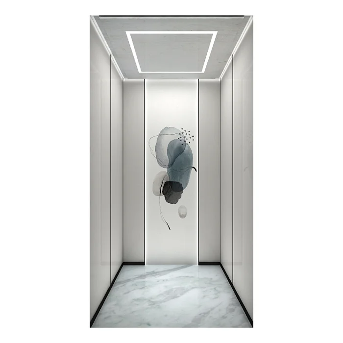 Cheap Mirror hairline stainless Simple desgin ZLE Passenger lift elevator 630kg 800kg
