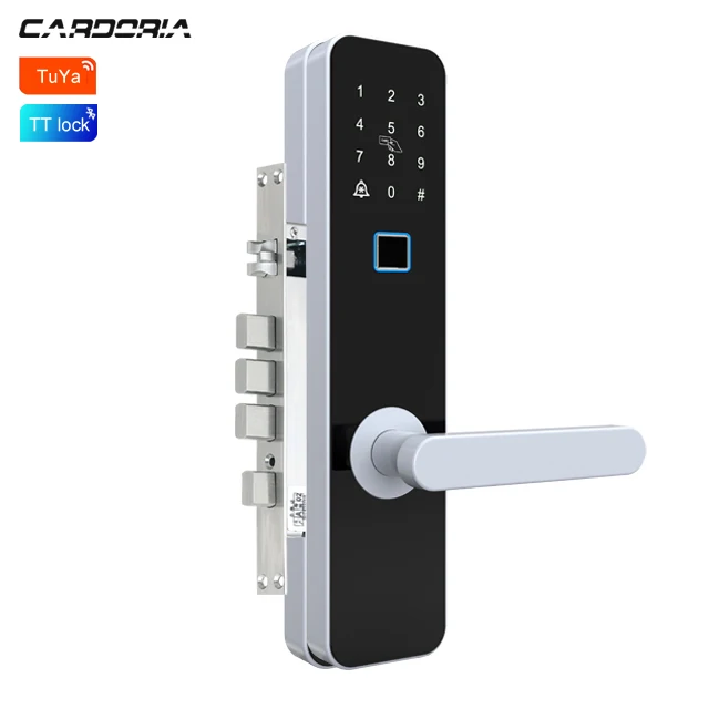 China Door Handle Door Lock Recognize Fingerprint Smart Handle electric gate door lock With APP