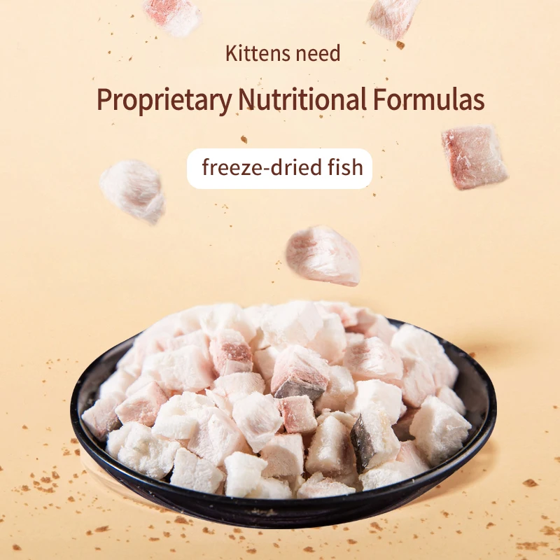 Best Selling OEM Freeze-Dried Fish Treats Frozen Pet Snack Food High Quality OEM Pet Treats