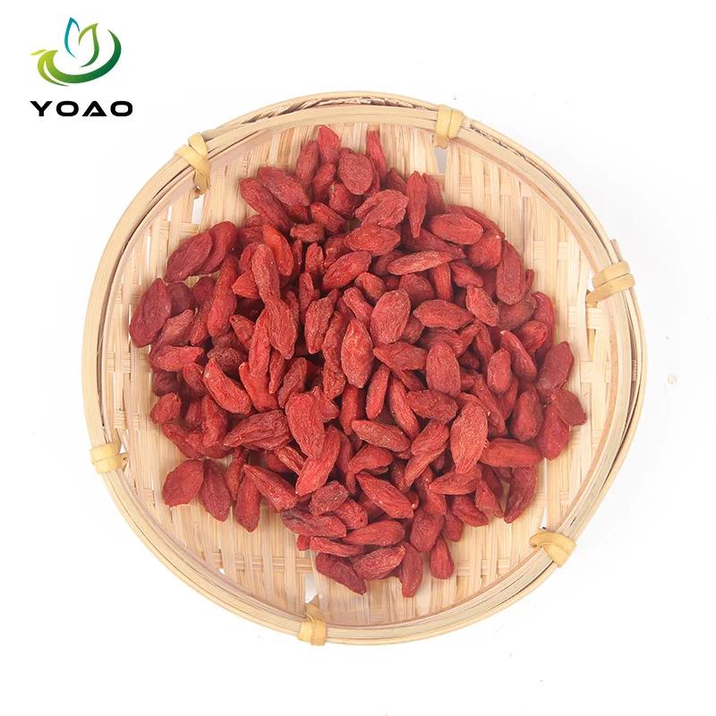 Wholesale High Quality Dried Goji Berry Chinese Red Wolfberries Large Size Herbal Tea Dried Fruits