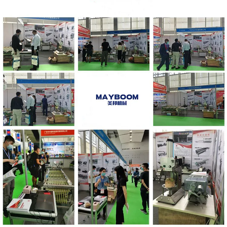 fruit process machine