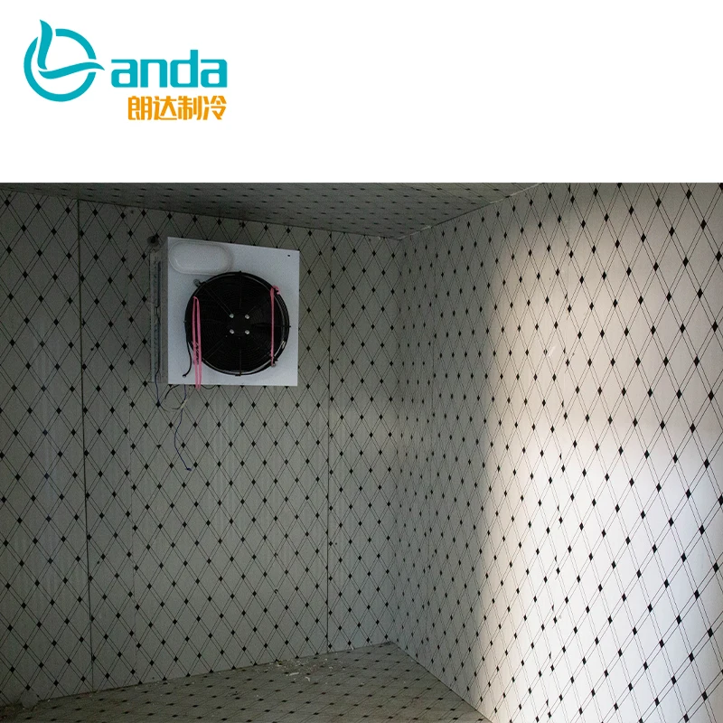 Walk in Freezer Chamber Refrigeration Chiller Room Large Cold Storage Room Low Price