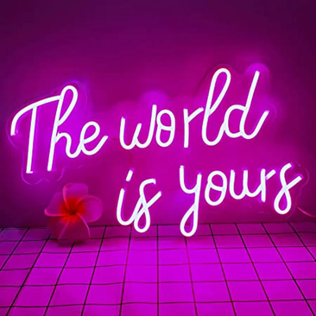 B-neon Colourful Led Pvc Acrylic Custom Neon Sign Decor The World Is Yours Led Sign Letter Like Neon