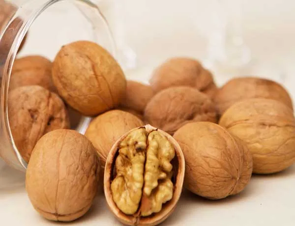 Walnuts with thin skin 185 new paper shell walnuts cheap price and excellent quality
