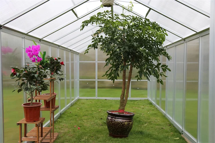 Aluminum Metal Plant Green House Structure Polycarbonate Outdoor Greenhouse Aluminium Frame Garden Backyard Greenhouse