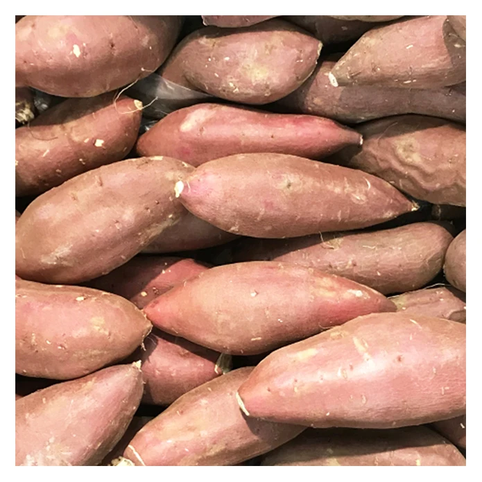 Made in Japan delicious Asian vegetables importers sweet potato price