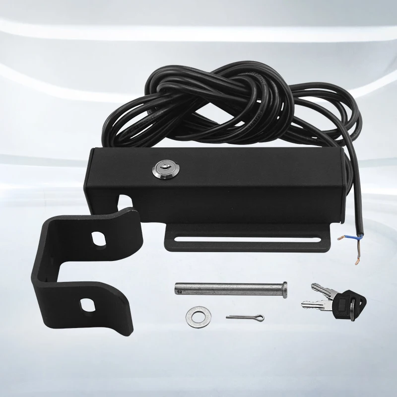 12V DC Electric Swing Gate Lock for Opener