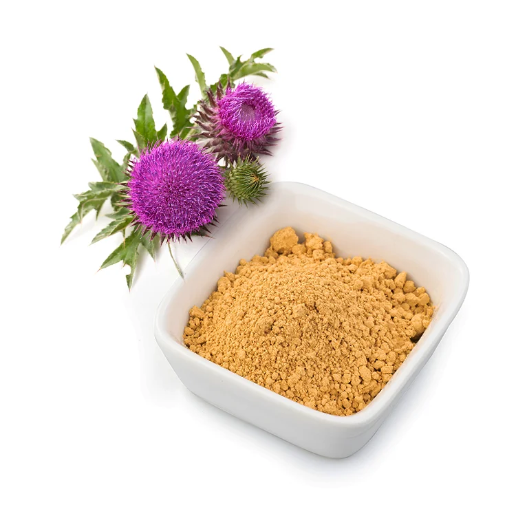 Manufacturer Natural Plant Extract Silymarin UV 80% Milk Thistle Seed Extract powder