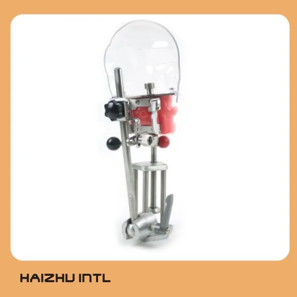 Dental simulator for training, dental phantom head