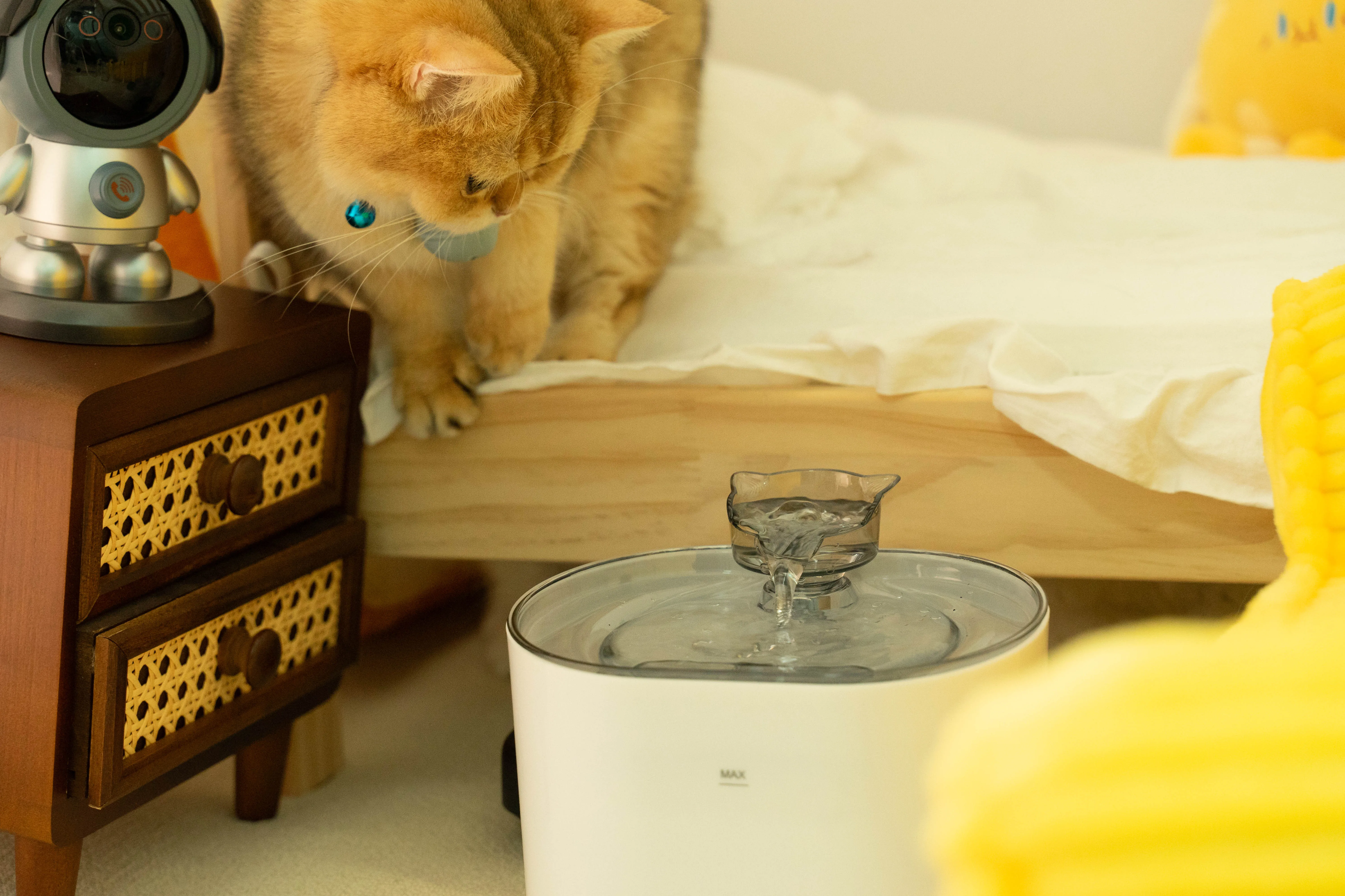 2.2L Automatic Water Fountain for Cats Pet Hydration with Filter