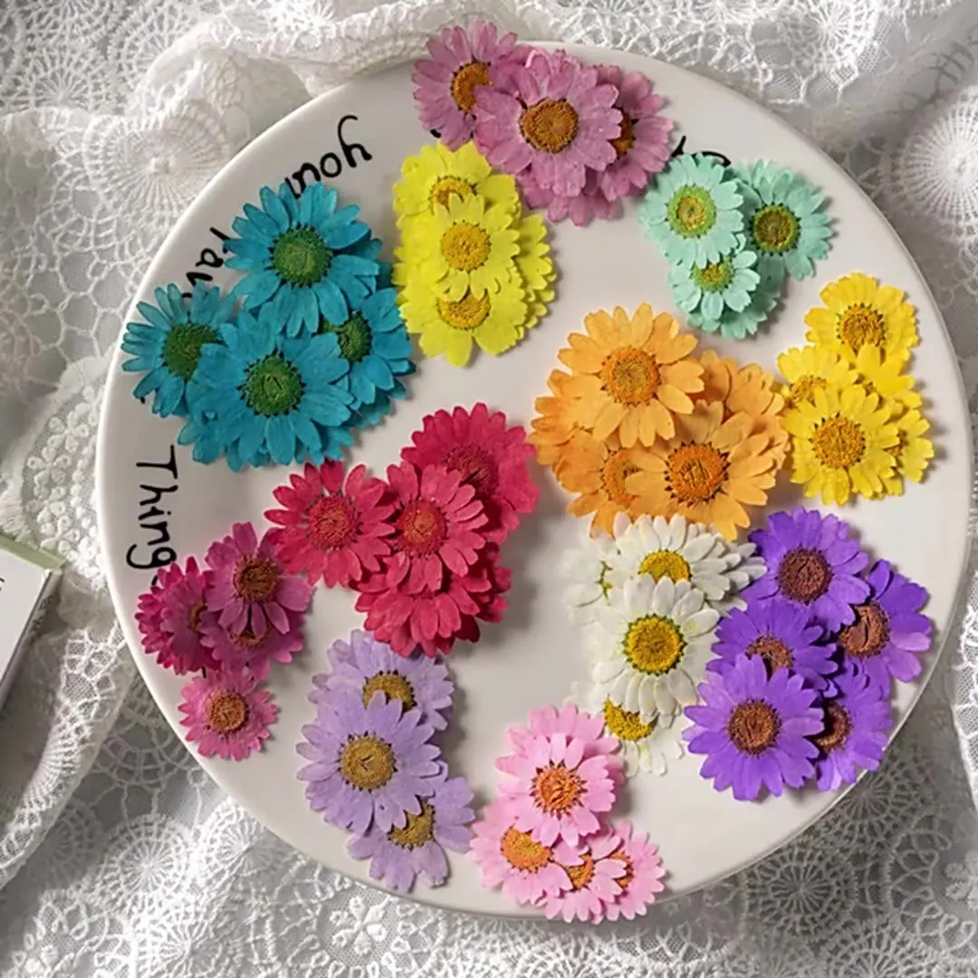 DIY Handmade Craft Daisy Marguerite Scrapbooking Epoxy Resin Natural Plant Real Pressed Flower