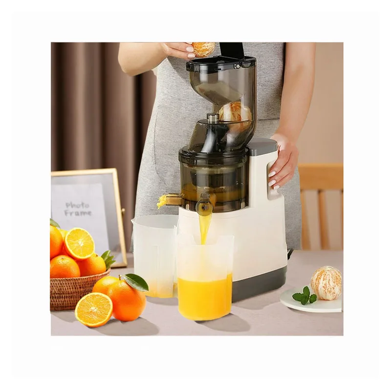 Mini Electric Juicer Pure Juice Extractor Home Squeeze Blender Fruit and Vegetable Juice Machine