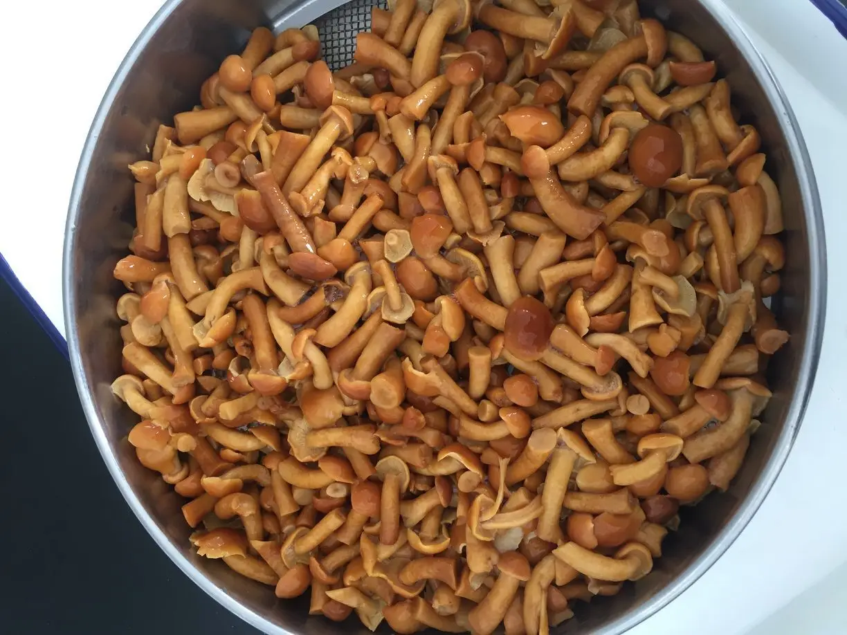 Sinocharm 2021 IQF Japan Nameko high quality