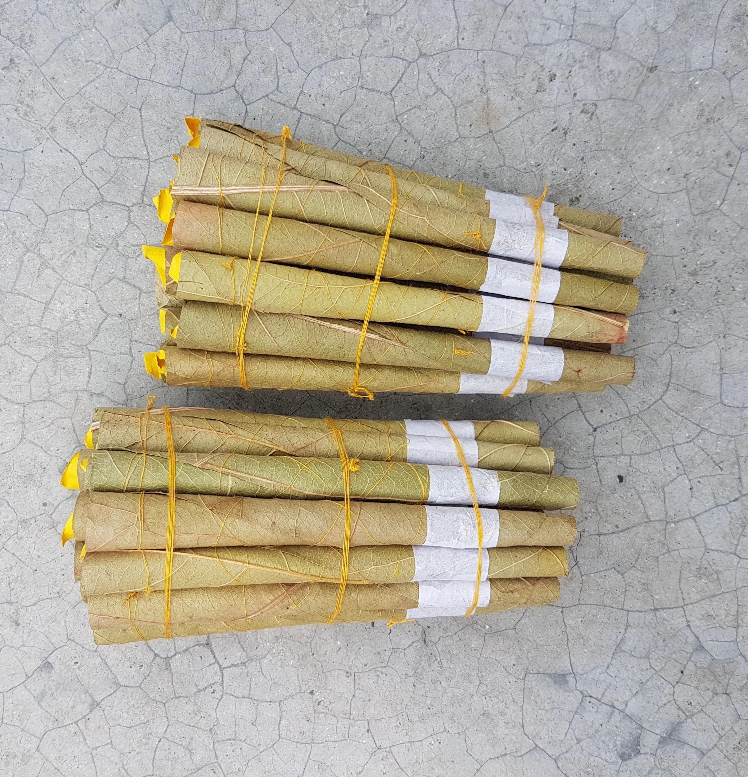 cordia leaf rolls Perfect rolled Herbal Leaf Pre Rolled Cones blunts Bulk OEM flavored wanted distributors