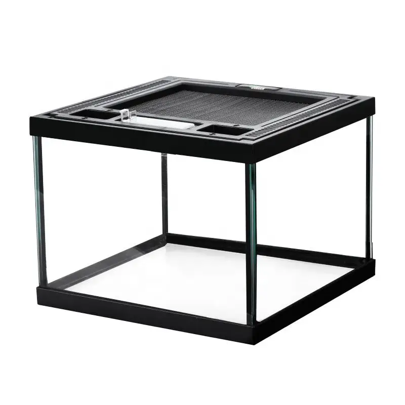 Reptile Glass Terrarium ecological landscape Horned spider guarding palace lizard tortoise glass tank