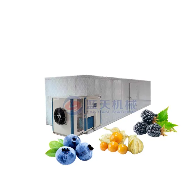 mulberry strawberry red wolfberry golden berry dryer berry drying machine