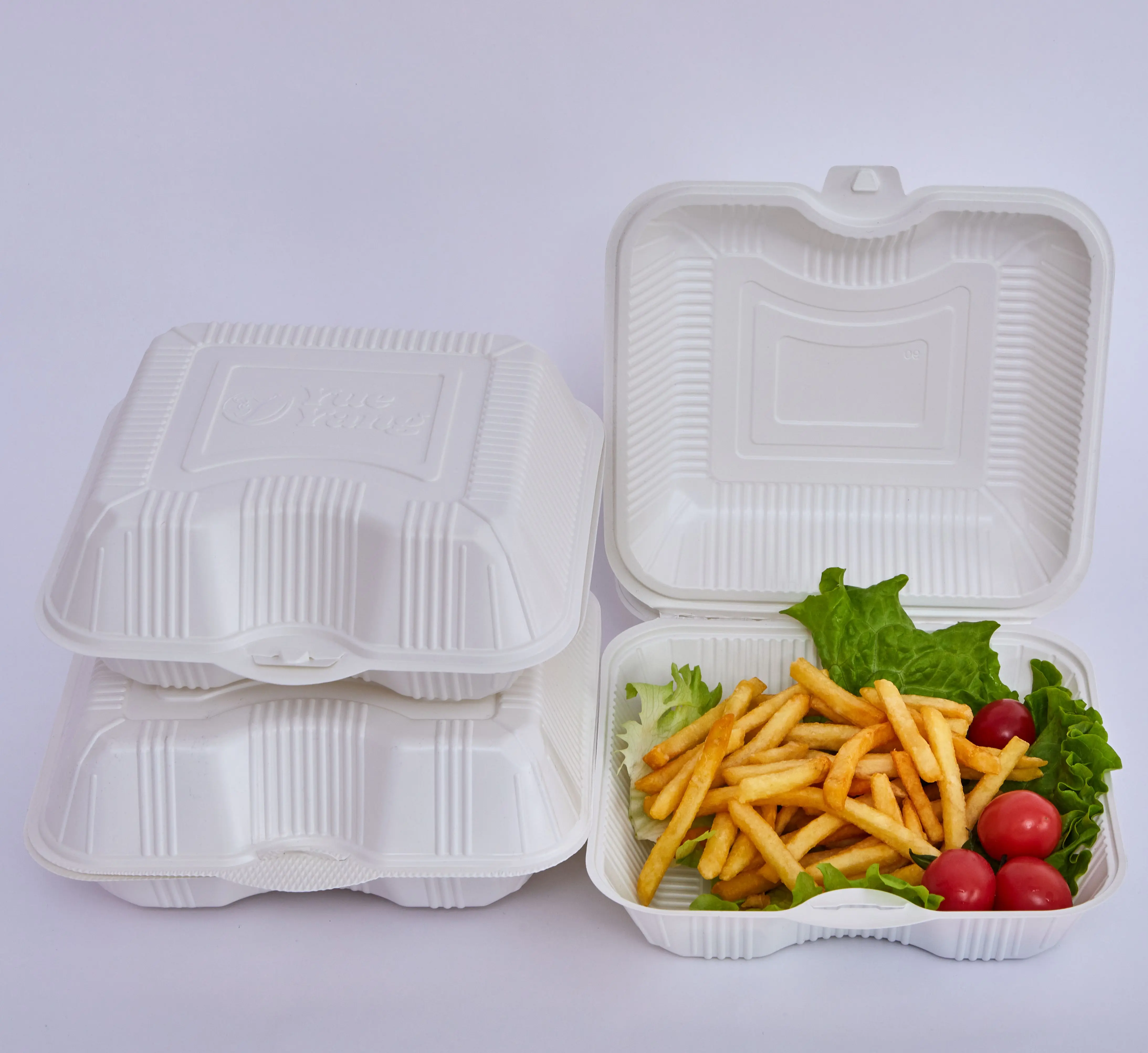 Factory supplier white container single use  hinged lid microwave Safe clamshell to go disposable plastic food box