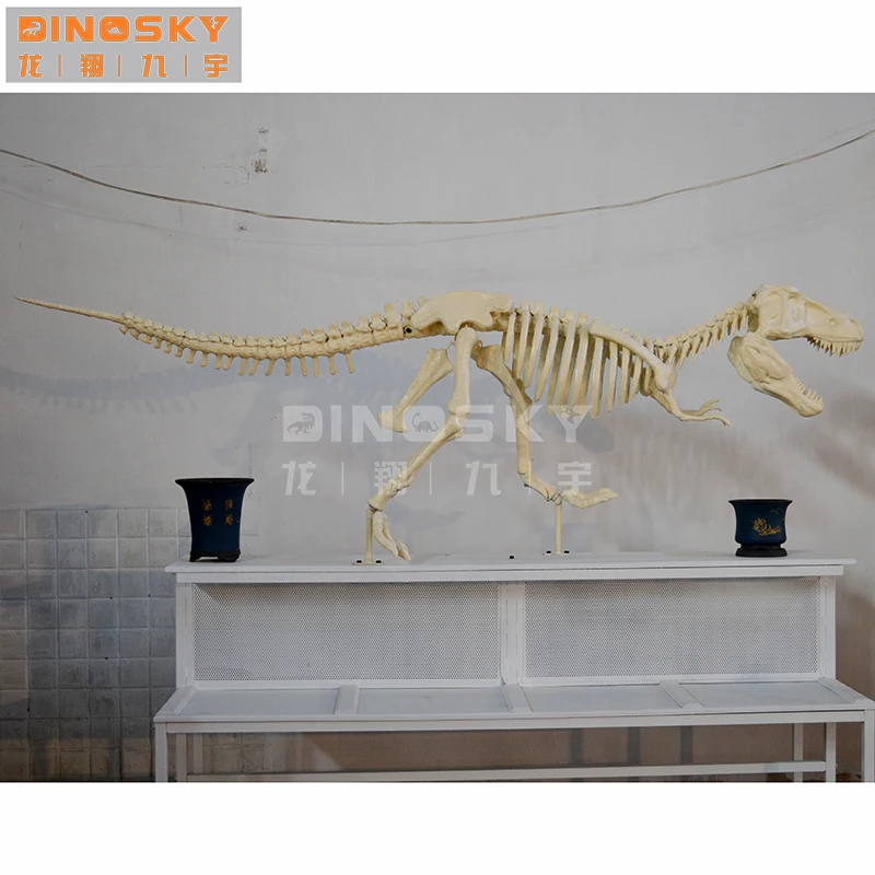 Dinosaur Archaeology Table Yrannosaurus Rex Display Model Dig Kit DINOSKY