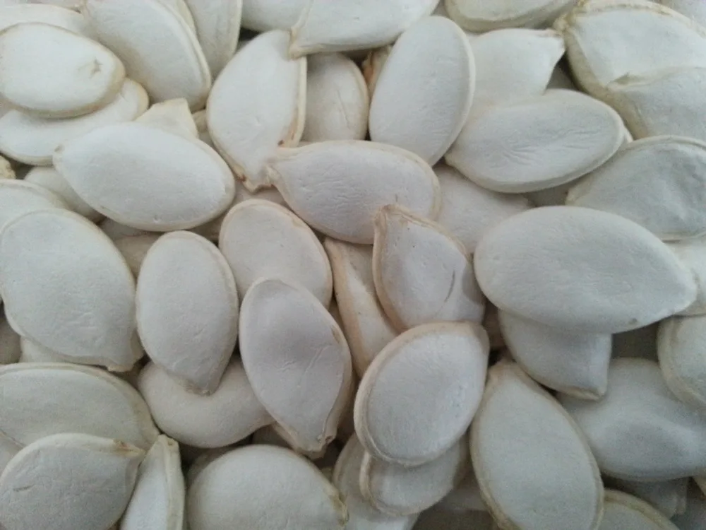 Chinese Raw Snow White pumpkin seeds price pumpkin seeds kernal 25kg pumpkin seeds