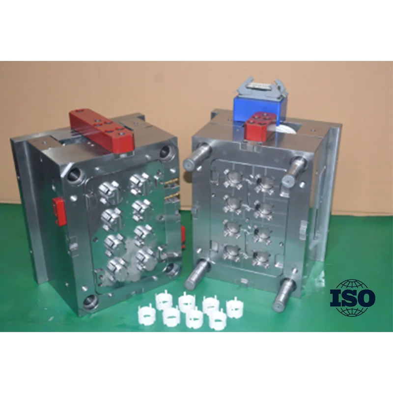 GuangDong Professional Customization Injection Molding Parts Injection Molded Plastic Moulds