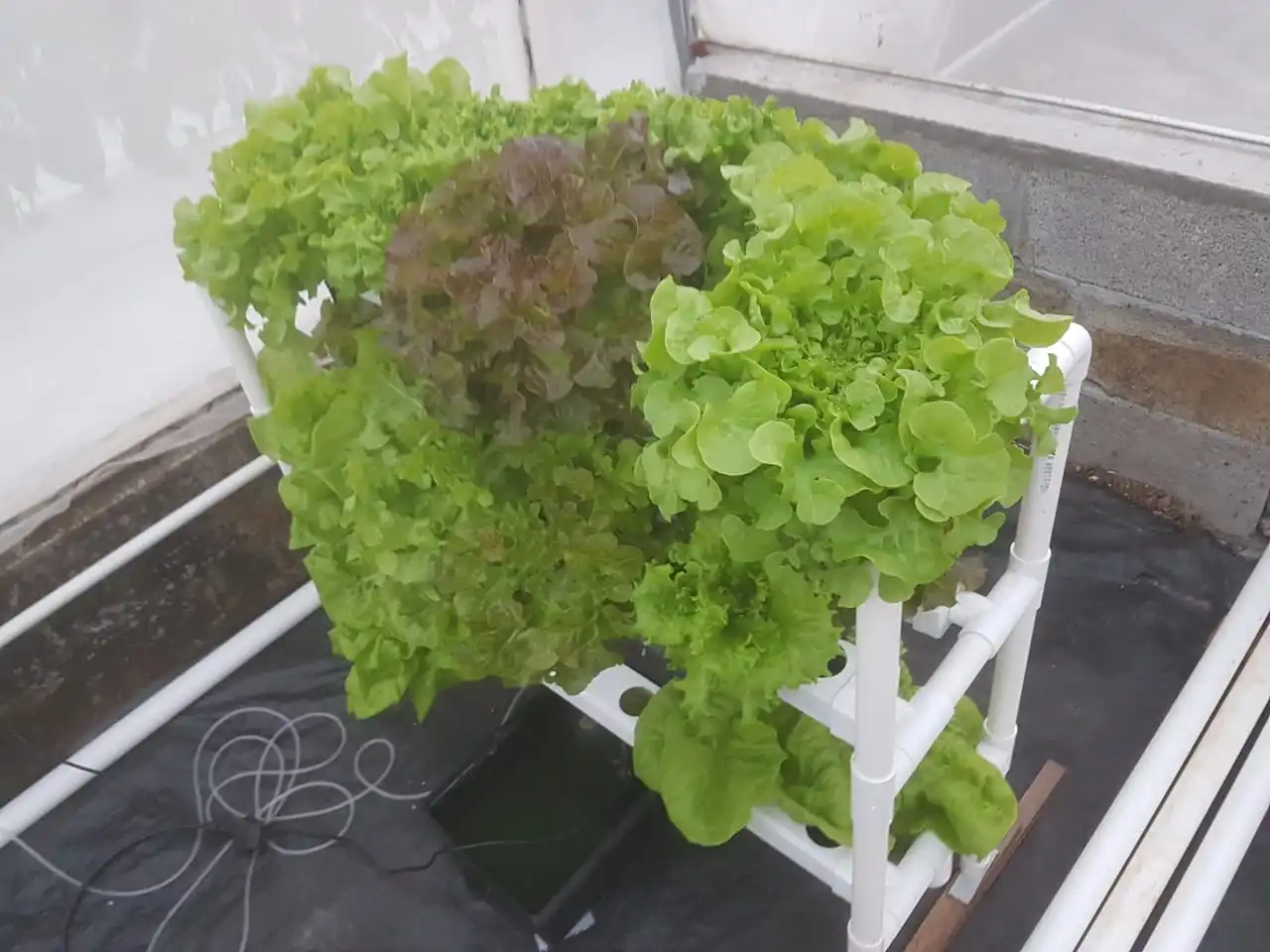 Полная микрозеленая ПВХ гидропонная система nft grow gully Вертикальная салат NFT Sys
