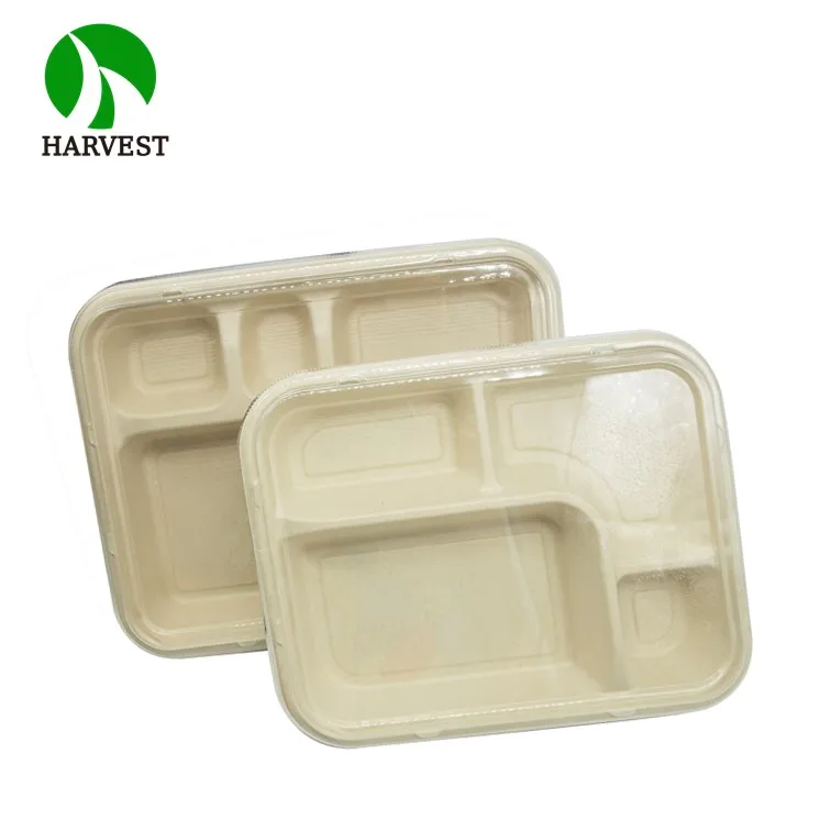 Japanese Style Biodegradable Disposable Sugarcane Bagasse Food Packaging