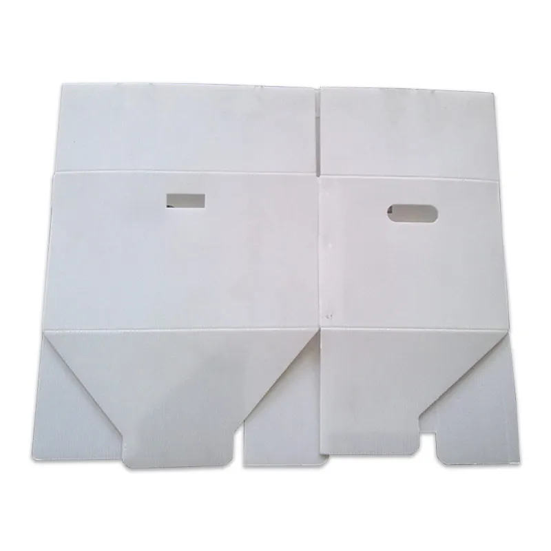Collapsible & fixed type corrugated Plastic chicken box