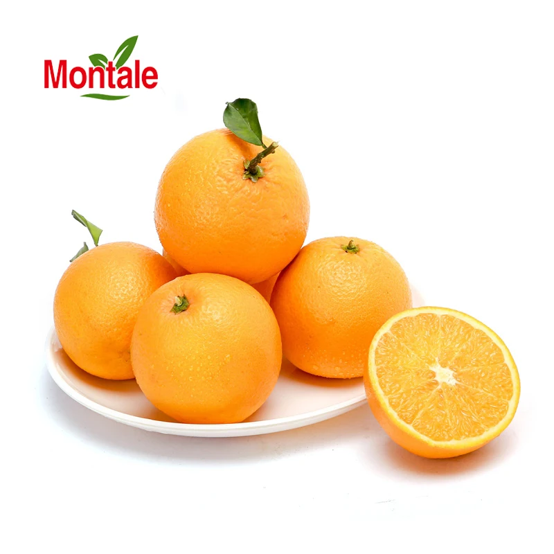 Montale  newest Wholesale best newhall orange new market fresh orange