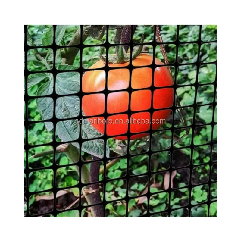 PP Biaxial Plastic Geogrid for Soil Reinforcement Polypropylene Geogrid Ground Grid As Chicken Fence