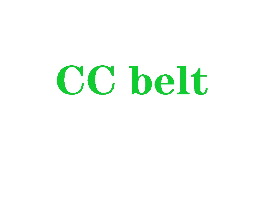 CC belt.jpg