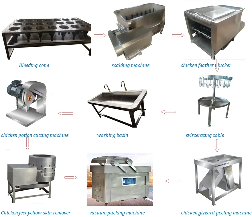 Стол для извлечения курицы на бойне