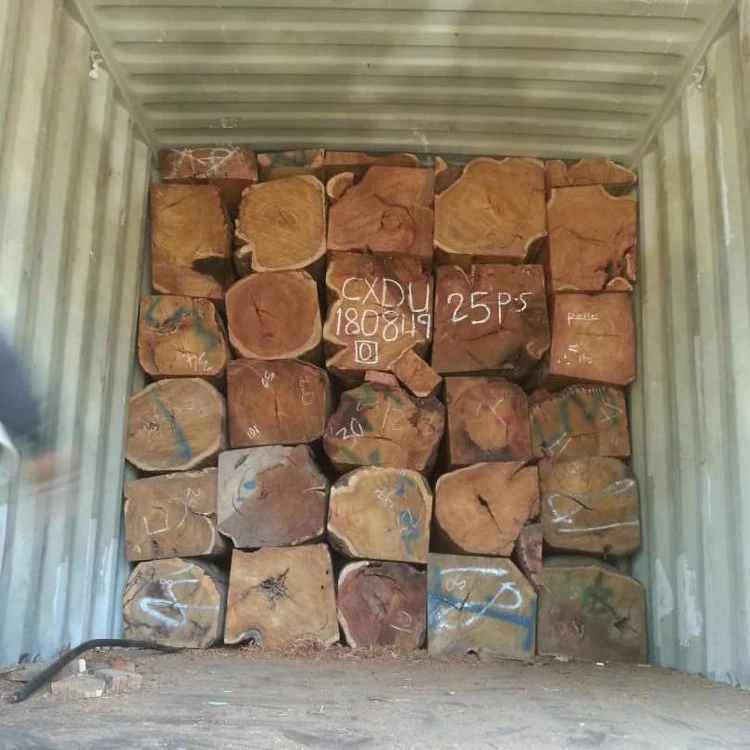 Vaneer White oak logs for timber