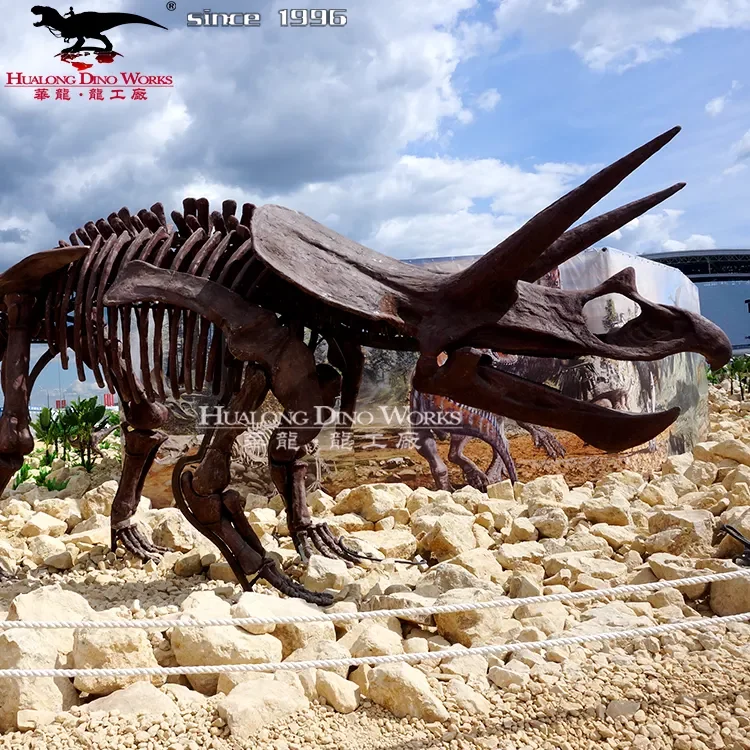 High quality simulation dinosaur fossil model of dino park
