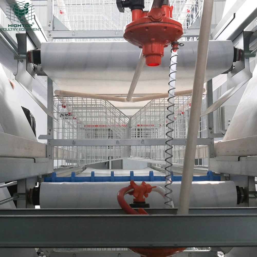 Fully Automatic Poultry Farming Equipment H Type Laying Hens Cage Battery System Egg Layer Chicken Cages