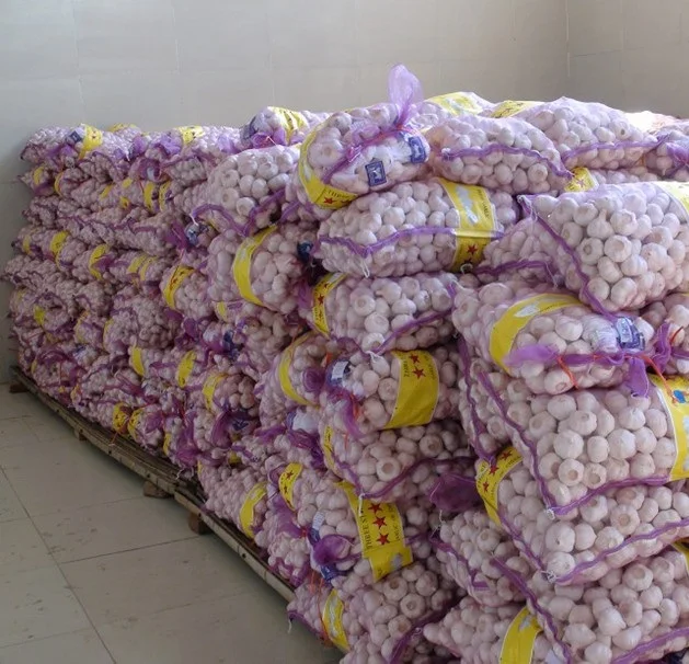 
buy china top quality full size bulk fresh pure white garlic vegetables suppliers 