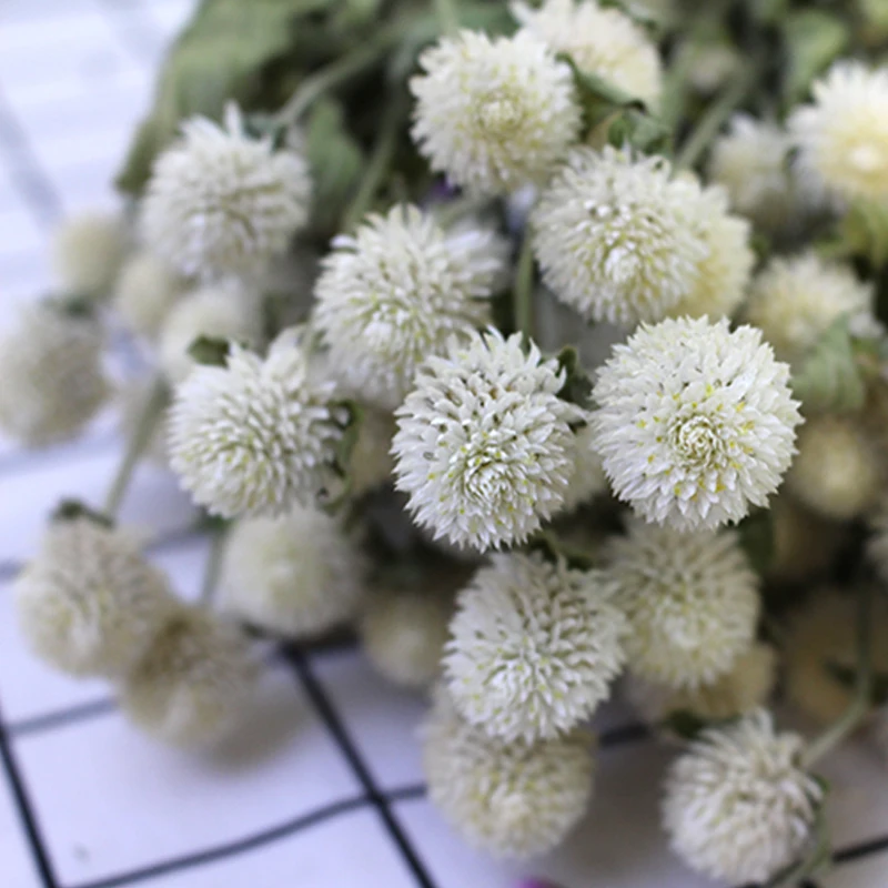 Wholesale Natural Dry Globe Amaranth Dried Flowers Gomphrena Globosa For Decor DIY Flowers Arrangements Candle Resin Making
