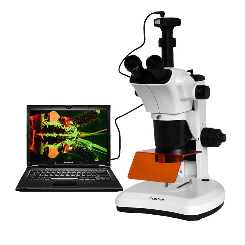 VMF7063 LED Illumination Trinocular Fluorescence Stereoscope with 2 / 4 filters