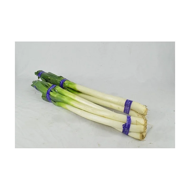 
New Organically Grown Green Onions for Edible Green Onions In 2021 